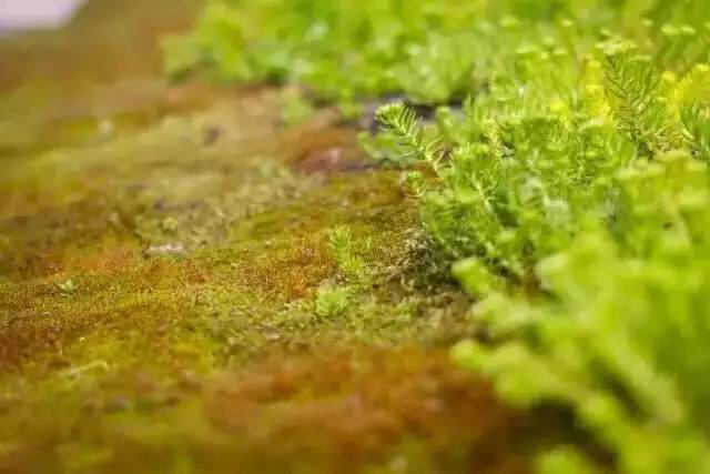 恒峰g22(国际)官网入口-天天有惊喜